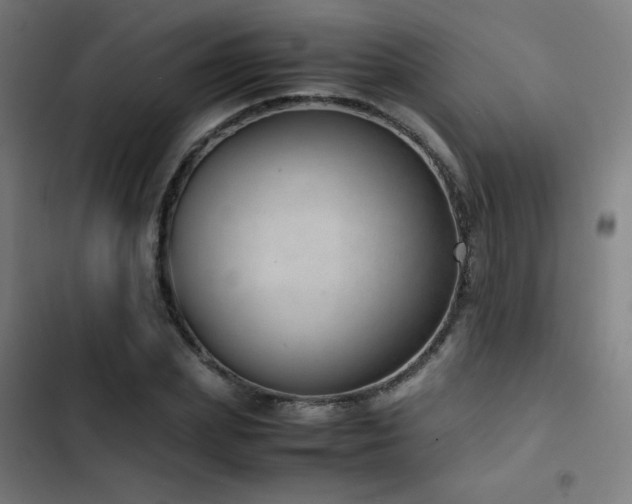 X0000103410831200809121303