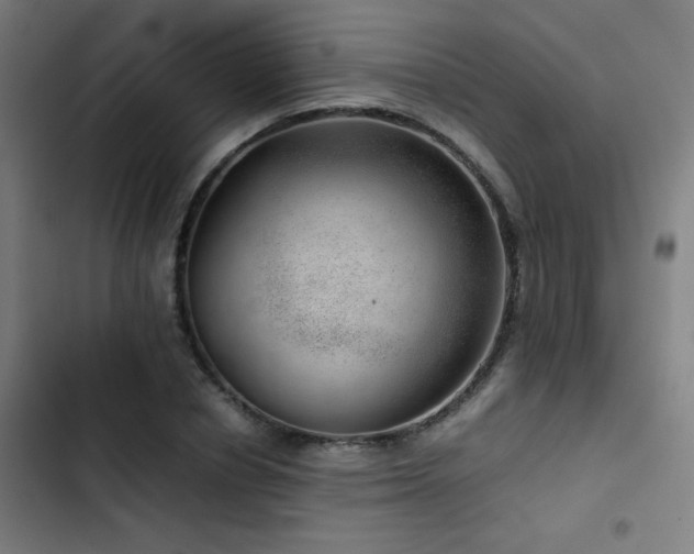 X0000103410834200809121303