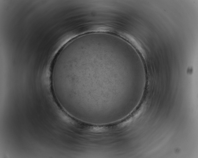 X0000103410835200809121303