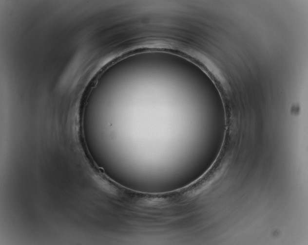 X0000103410837200809121303