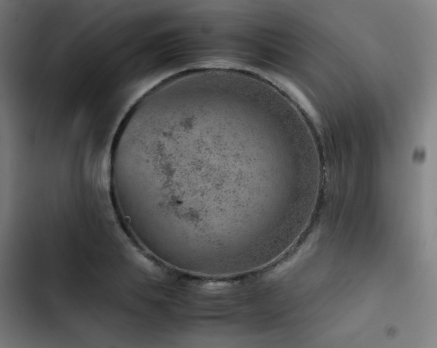 X0000103410839200809121303