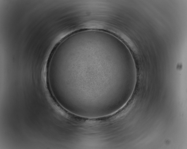 X0000103410840200809121303