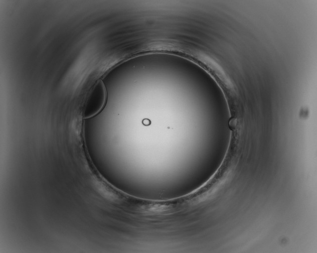 X0000103410841200809121303