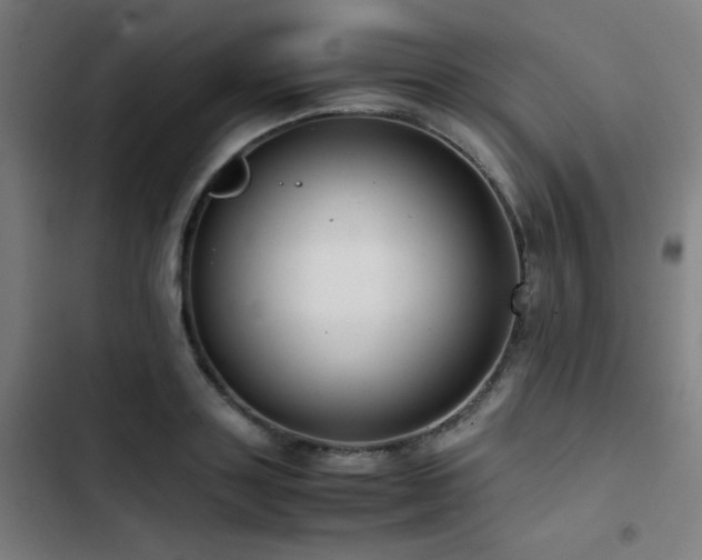 X0000103410843200809121303