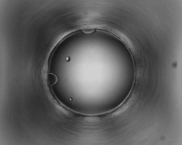 X0000103410844200809121304