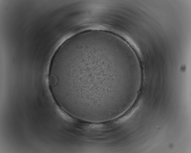 X0000103410845200809121304