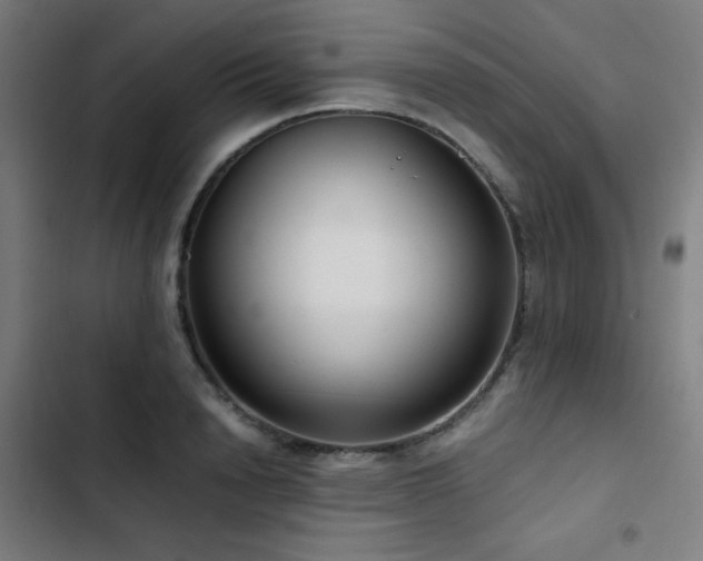 X0000103410846200809121304