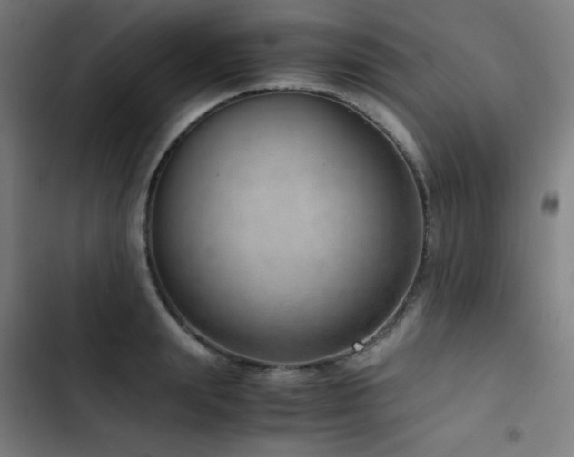 X0000103410847200809121304