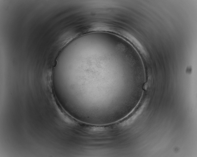 X0000103410849200809121304