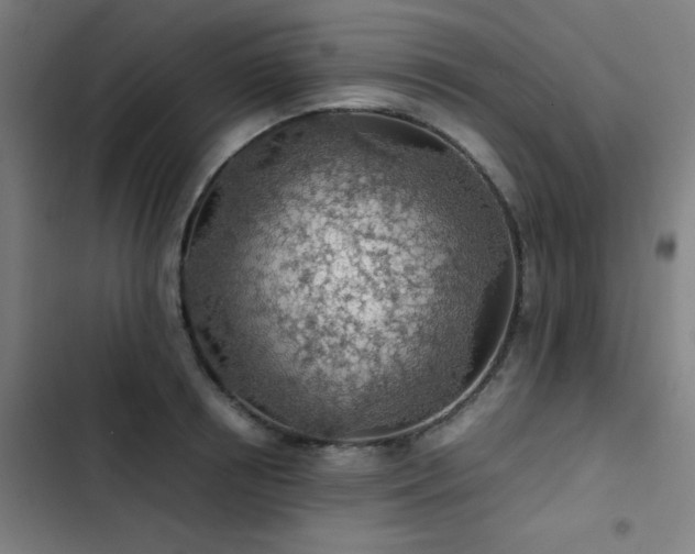 X0000103410850200809121304