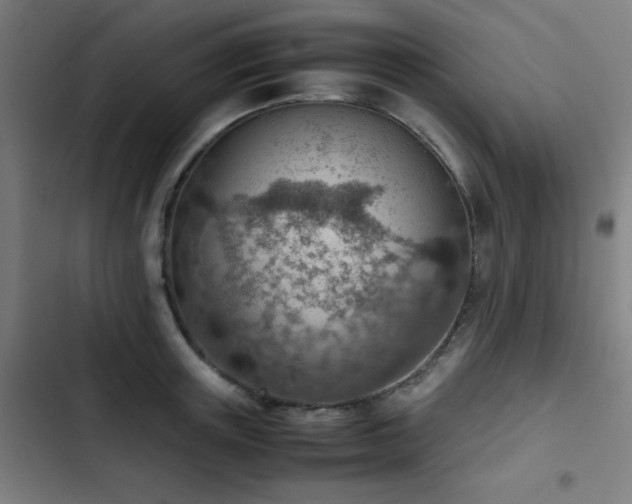 X0000103410851200809121304