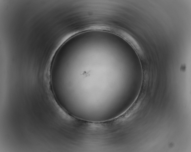 X0000103410852200809121304