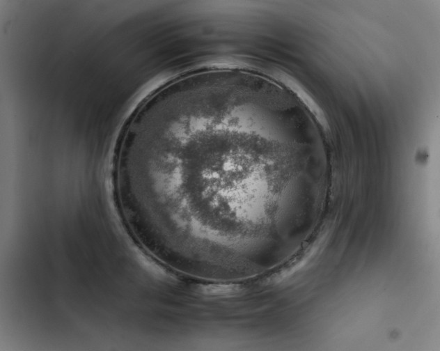 X0000103410853200809121304