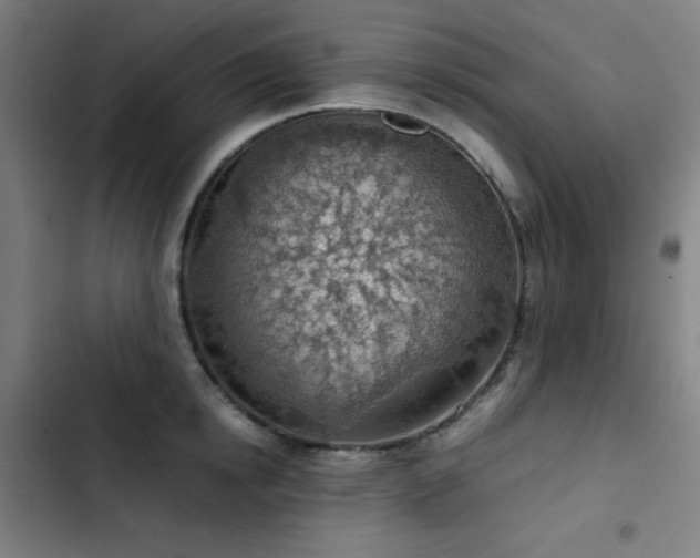 X0000103410854200809121304