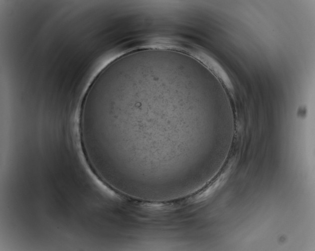 X0000103410855200809121304