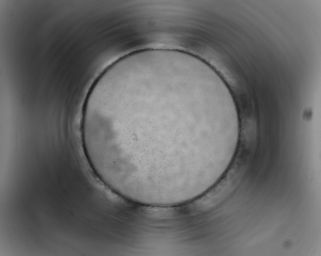 X0000103410856200809121304