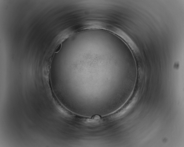 X0000103410857200809121304