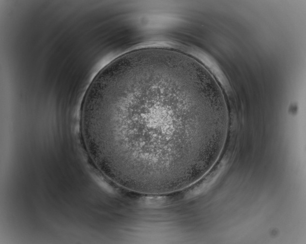 X0000103410858200809121304