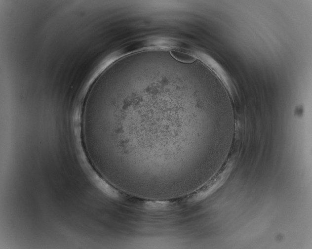 X0000103410859200809121304