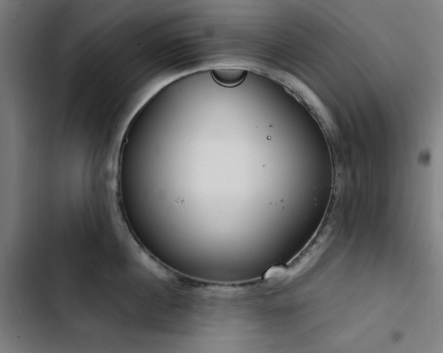 X0000103410860200809121304