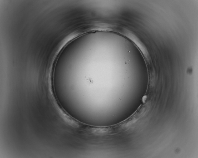 X0000103410861200809121304