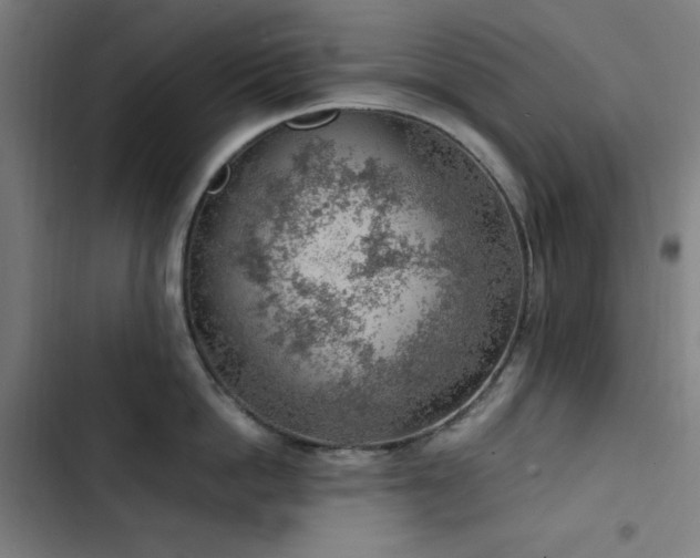 X0000103410862200809121304