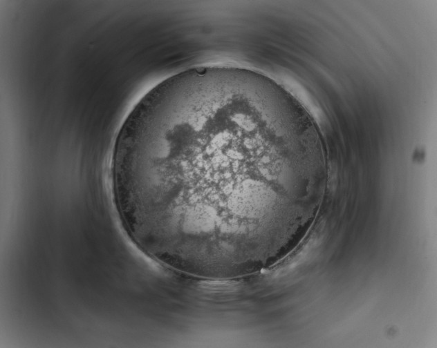 X0000103410863200809121304