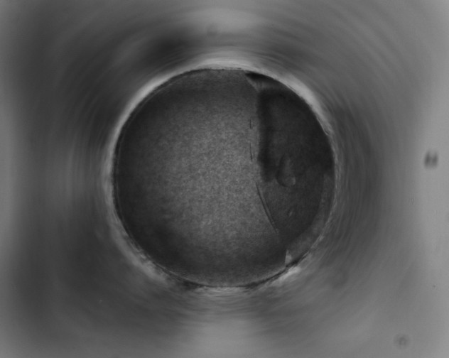 X0000103410864200809121304