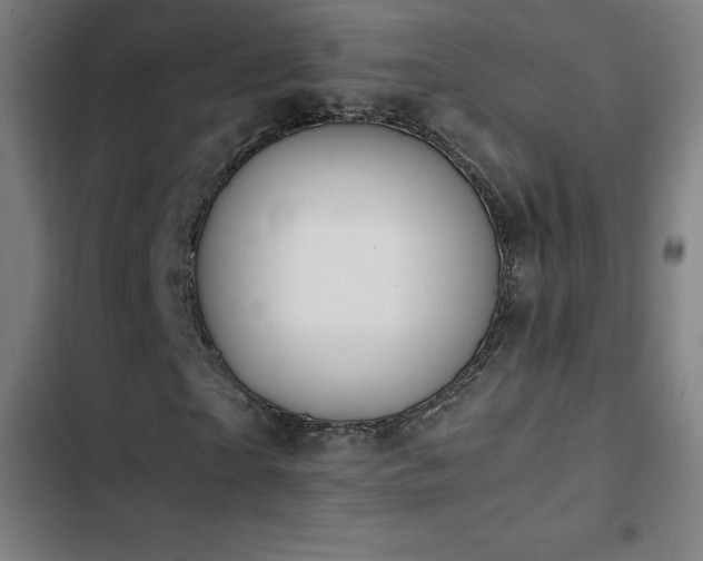 X0000103410865200809121303