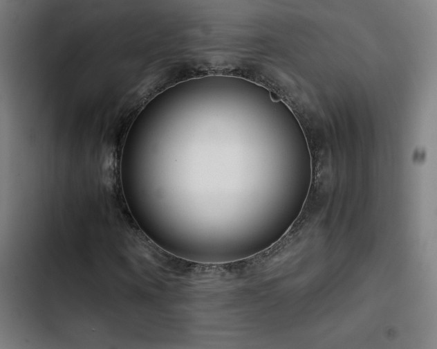 X0000103410866200809121303