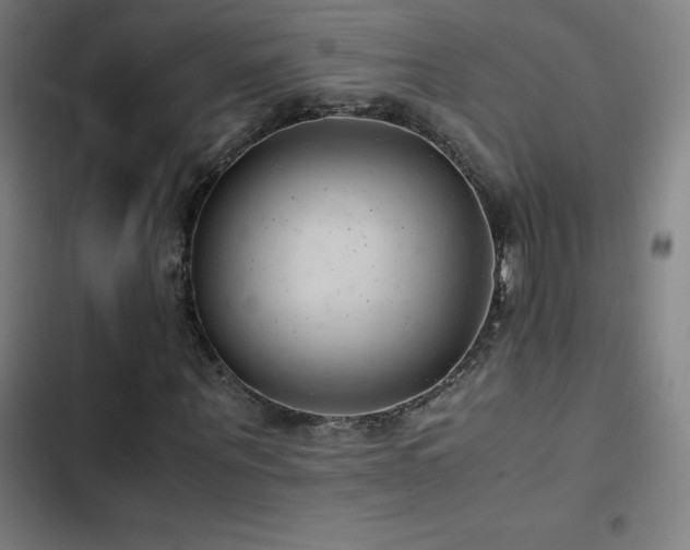 X0000103410867200809121303