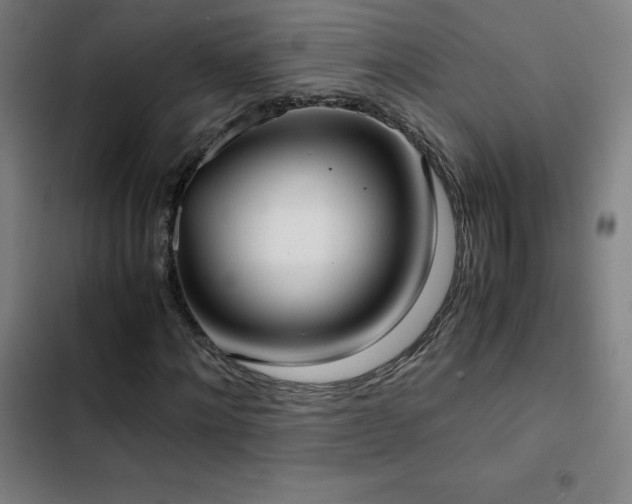 X0000103410868200809121303