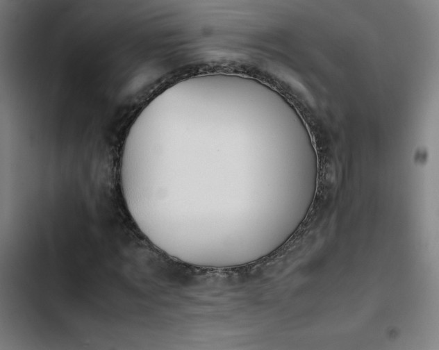 X0000103410869200809121303