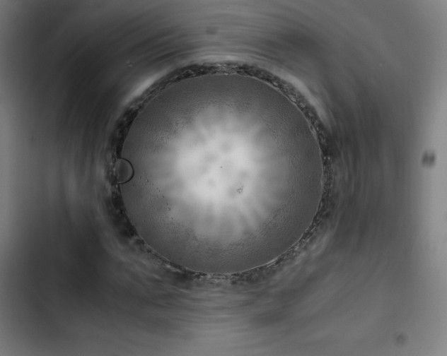 X0000103410871200809121303