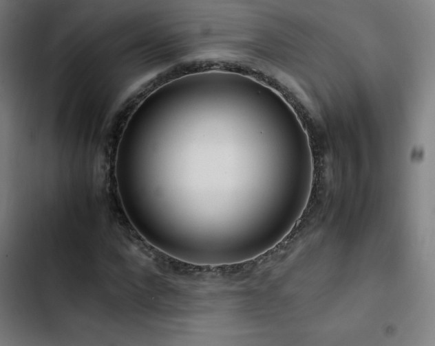 X0000103410872200809121303