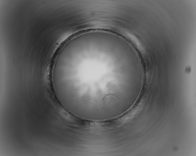 X0000103410875200809121303