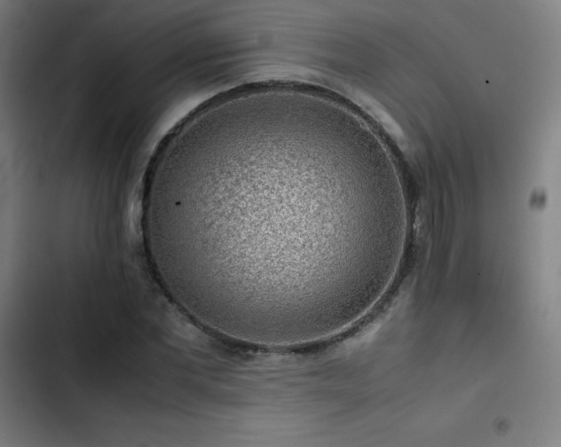 X0000103410877200809121303