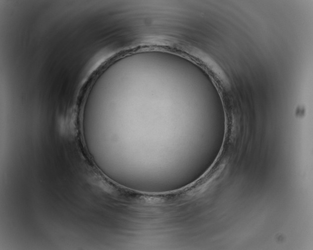 X0000103410878200809121303