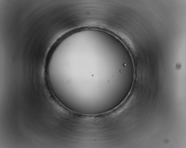 X0000103410880200809121303