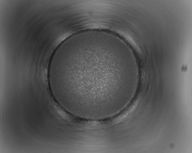 X0000103410881200809121303