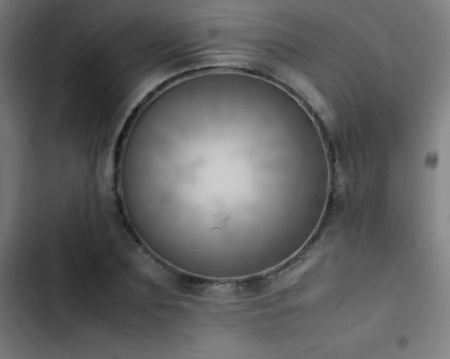 X0000103410883200809121303