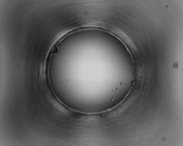 X0000103410884200809121303