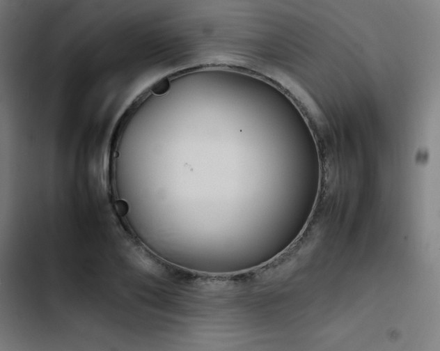 X0000103410886200809121303