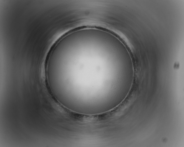 X0000103410887200809121303