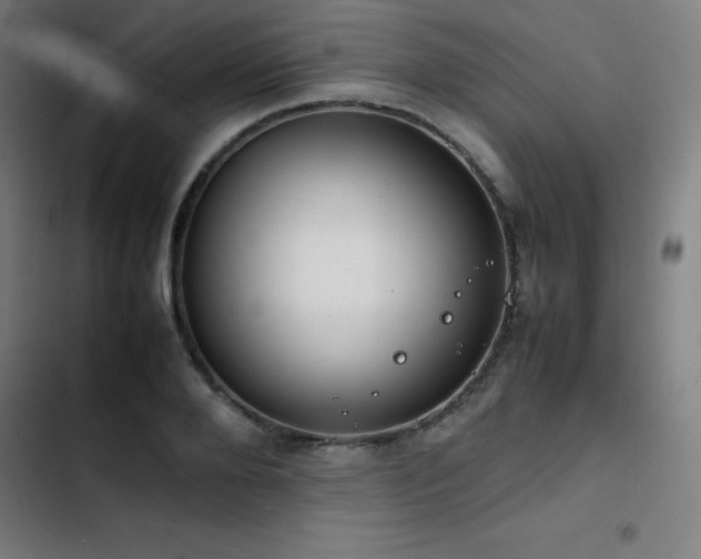 X0000103410888200809121303