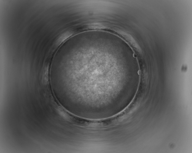 X0000103410889200809121303