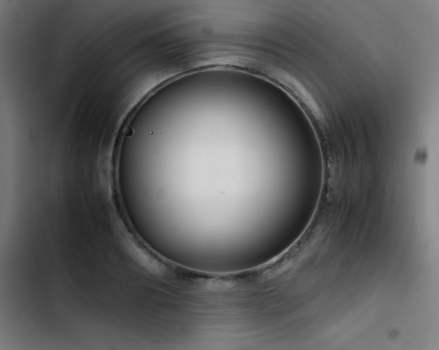 X0000103410890200809121303