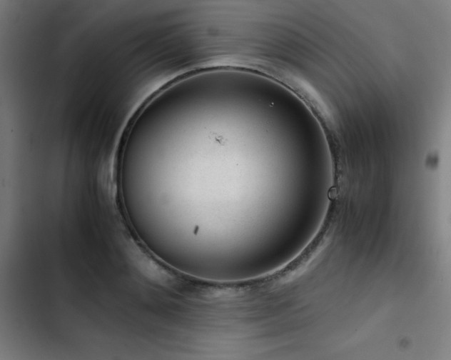 X0000103410892200809121303