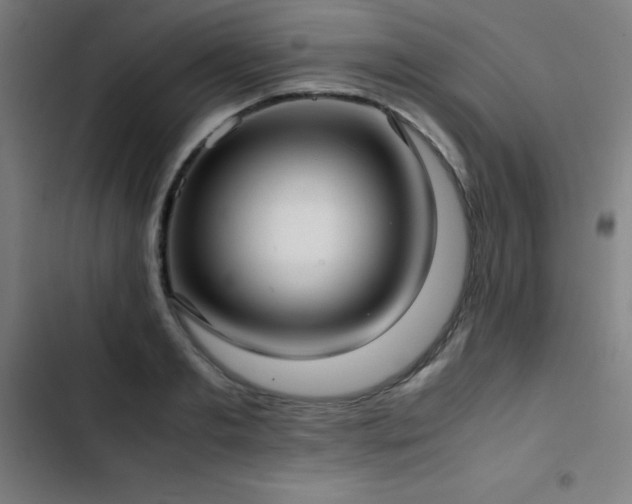 X0000103410893200809121303