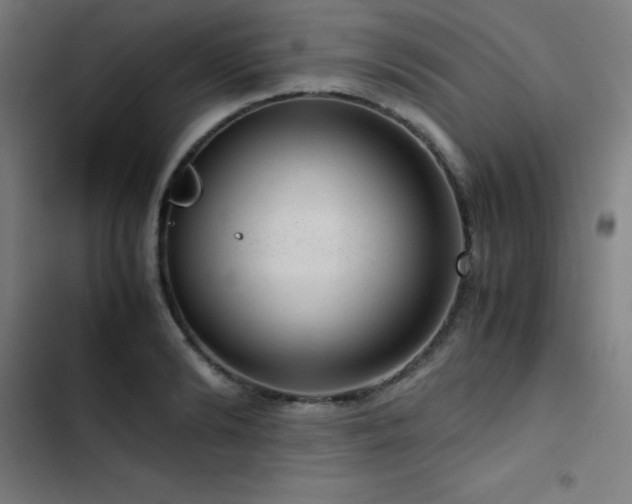 X0000103410894200809121303